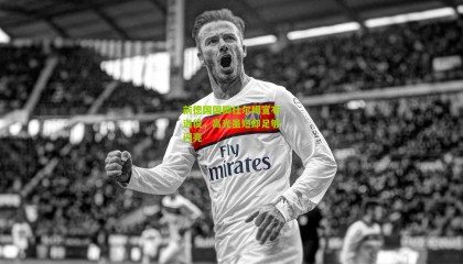 前德国国脚杜尔姆宣布退役，高光虽短却足够闪亮