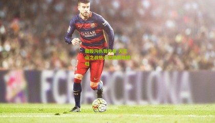 腹股沟伤势作祟 天王山之战热火急需英雄回归