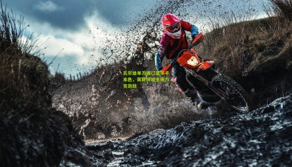 瓦尔迪单刀破门显杀手本色，莱斯特城主场力克劲敌