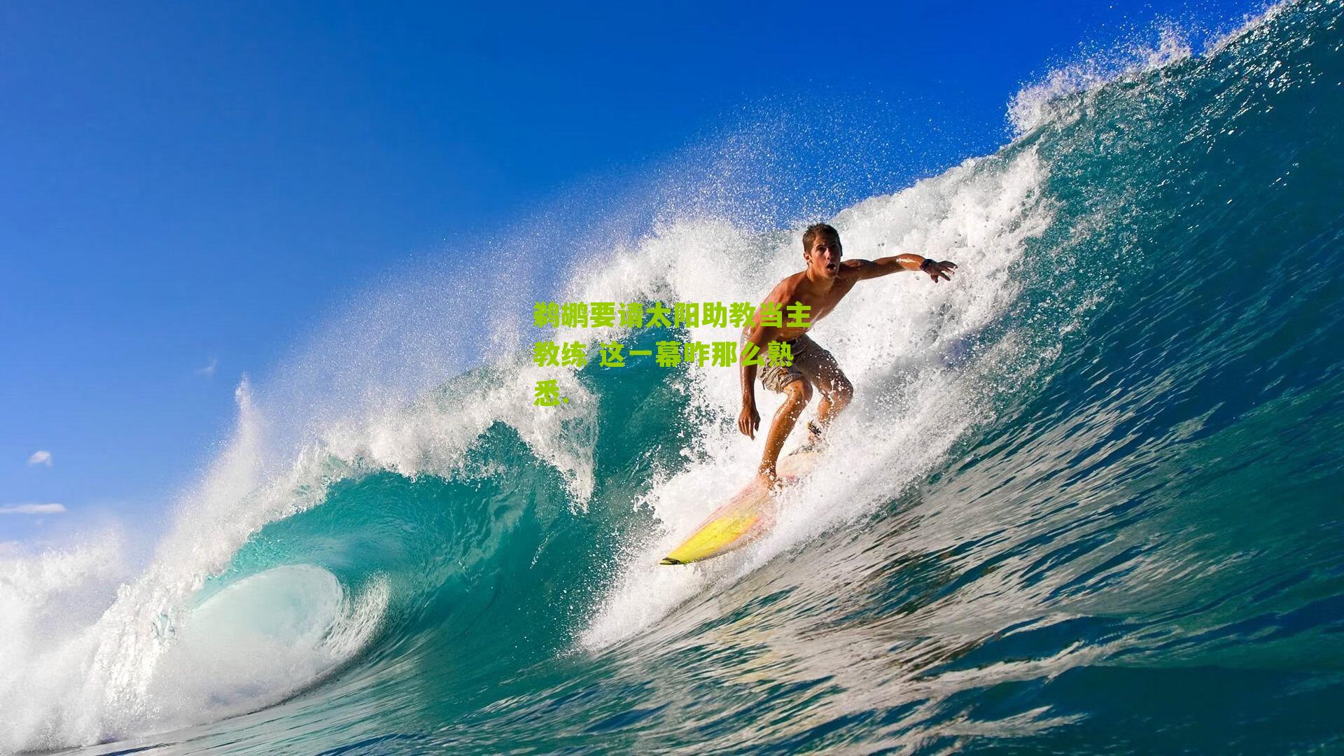 鹈鹕要请太阳助教当主教练 这一幕咋那么熟悉.